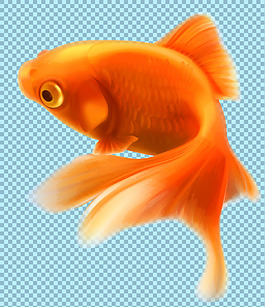 手繪橙色金魚圖片免摳png透明圖層素材