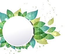 精美線(xiàn)條圖案