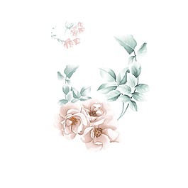 手繪花朵png元素