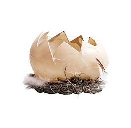 破碎的蛋殼png免扣元素