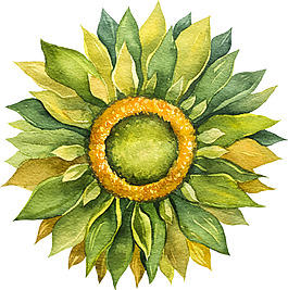 手繪唯美的花朵插畫
