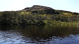 實拍河流小島視頻