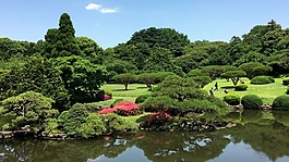 湖邊風(fēng)景視頻設(shè)計(jì)