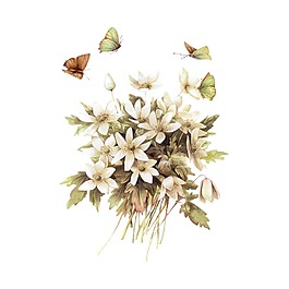 手繪花朵蝴蝶元素
