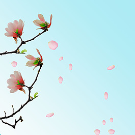 春暖花開