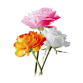 鮮艷花朵花束元素