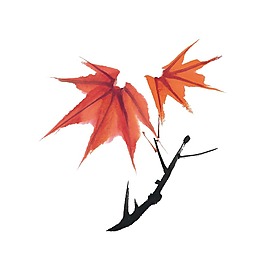 手繪楓葉樹枝元素