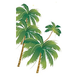 手繪清新椰樹元素