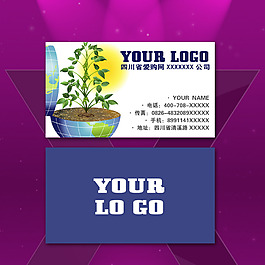 簡約淡雅名片