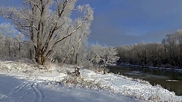 風景雪景視頻素材
