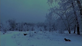 雪景視頻素材設計