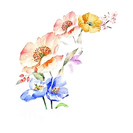 手繪花朵png透明元素
