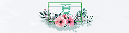 夏季花框背景banner