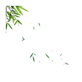 清新綠葉漂浮元素