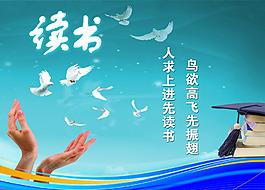 鳥欲高飛先振翅學(xué)鷴展架