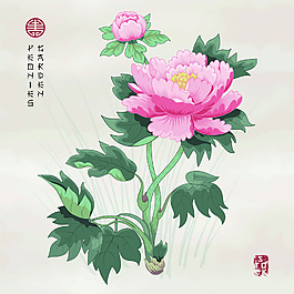 粉色牡丹花中國風(fēng)圖形花紋VI設(shè)計(jì)