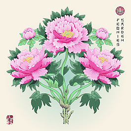 牡丹花束粉色圖形花紋VI設(shè)計(jì)