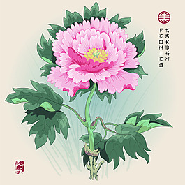 手繪中國風(fēng)牡丹花圖形花紋VI設(shè)計矢量