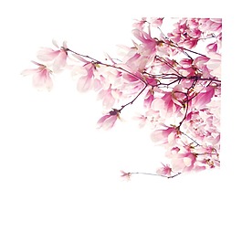 浪漫粉色花朵元素