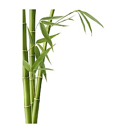 小清新绿色竹子元素