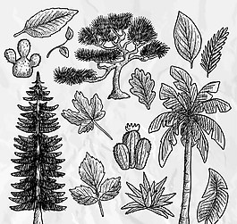 14款手繪樹木矢量背景