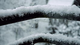 樹枝雪景視頻素材