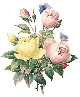 手绘水墨花朵元素