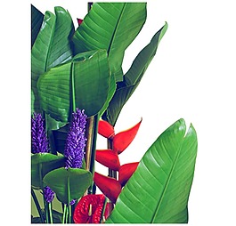 手繪綠葉紋理元素