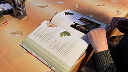 人物看書場景視頻