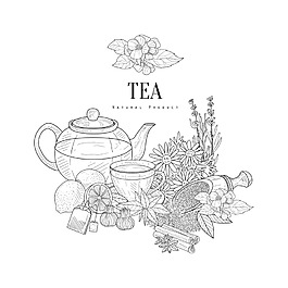 黑白手绘果茶静物插画