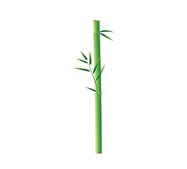 手繪小清新竹子元素