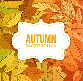 唯美紅色楓葉背景