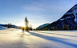 大氣陽光早晨雪地背景
