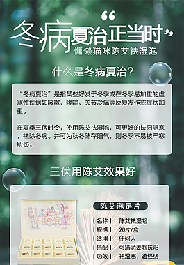 三伏冬病夏治陳艾產(chǎn)品海報