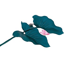 唯美荷葉png免扣元素