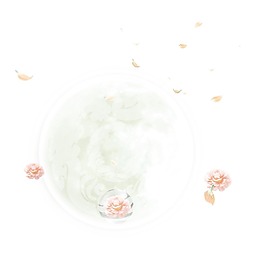 粉色牡丹漂浮png免扣元素