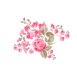 水彩牡丹花png免扣元素