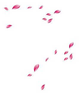 漂浮花瓣png免扣元素
