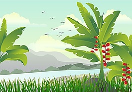 野外芭蕉矢量素材
