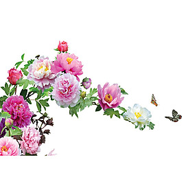 粉色牡丹花png免扣元素