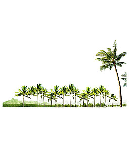 海灘椰樹png免扣元素