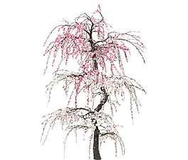 粉色桃花png免扣元素