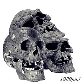 恐怖骷髅png免扣元素