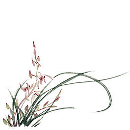 手绘兰花png免扣元素