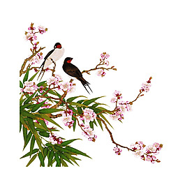手繪花鳥png免扣元素