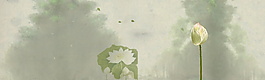 簡(jiǎn)約色彩荷花花紋背景圖