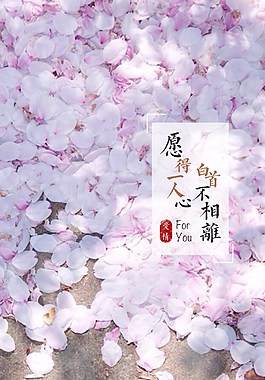 白色花瓣情人節(jié)H5背景素材
