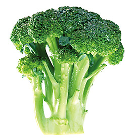 綠色蔬菜西蘭花元素