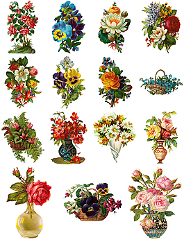 花瓶里的花束插畫