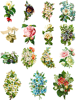 唯美花朵花卉插畫